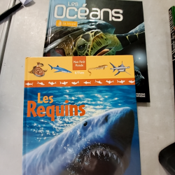 Produit 704331